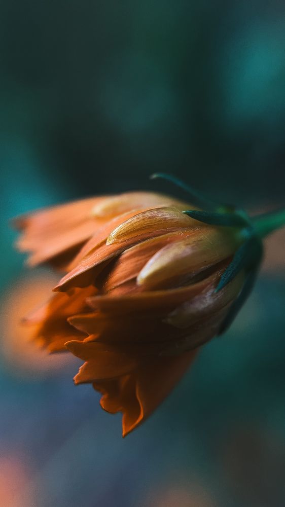 Photograph by Татьяна Михайлова