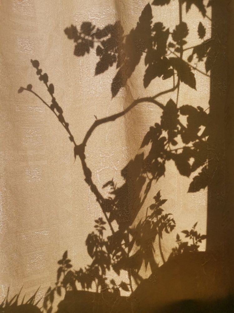 Photograph by Ксения Мироненко