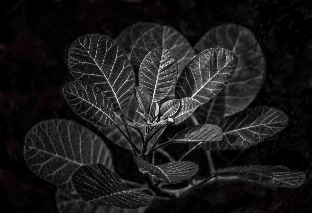 Photograph by Александра Климина