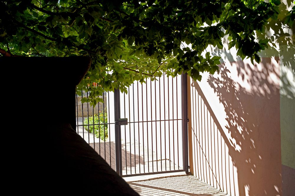 Photograph by Ксения Мироненко