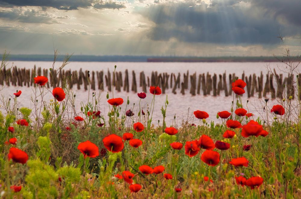 Photograph by  AlexSa