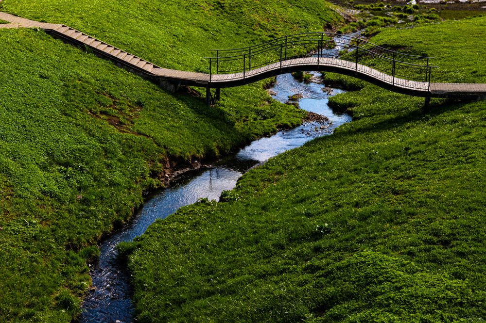 Фотография автора Ирина Гриценко
