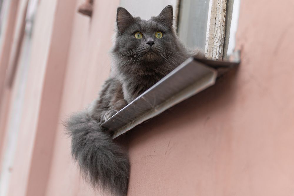 Photograph by Дарья Улюсова