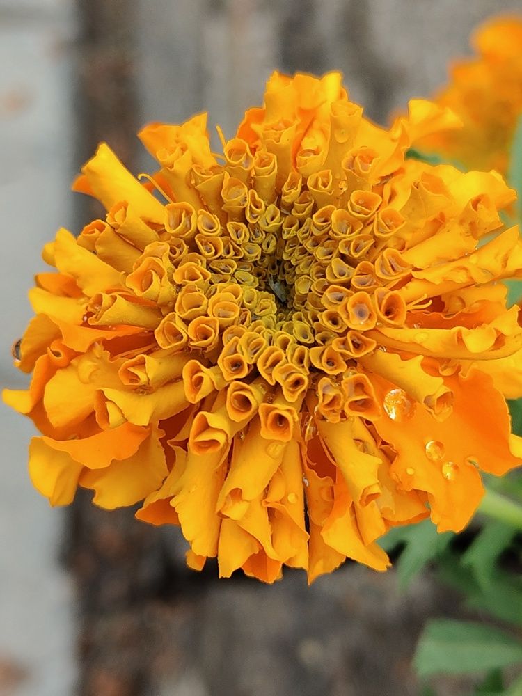 Photograph by Наталья Адалинская