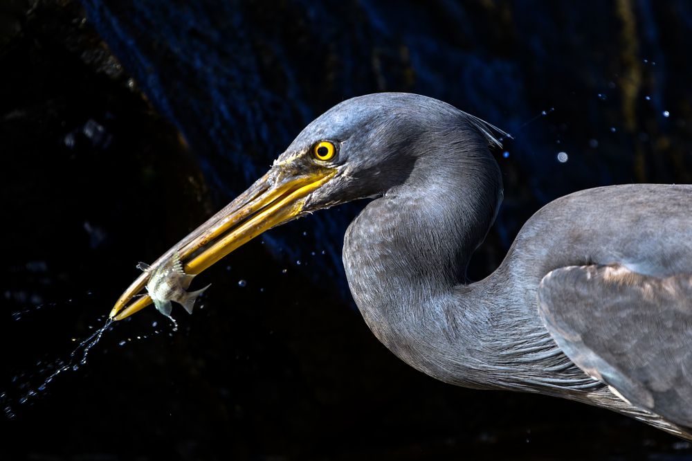 Photograph by Alexander Babych