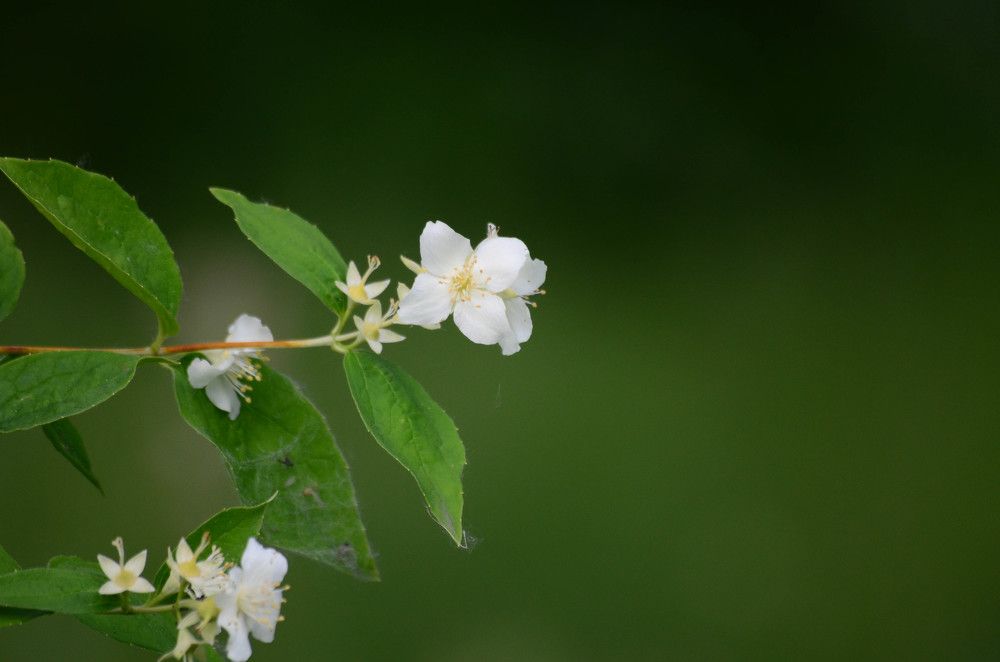 Photograph by Олеся Воробьева