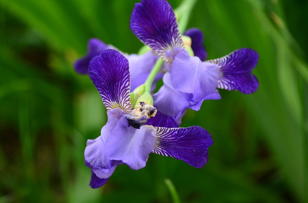 Photograph by Олеся Воробьева