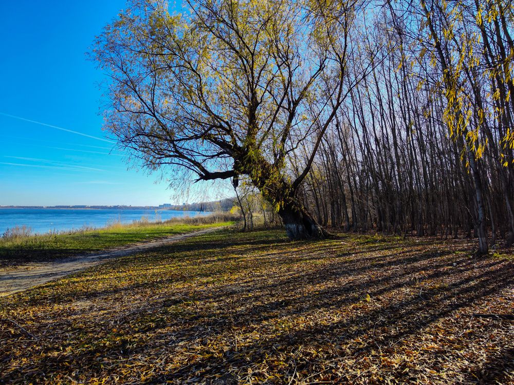 Photograph by Ирина Шибитова