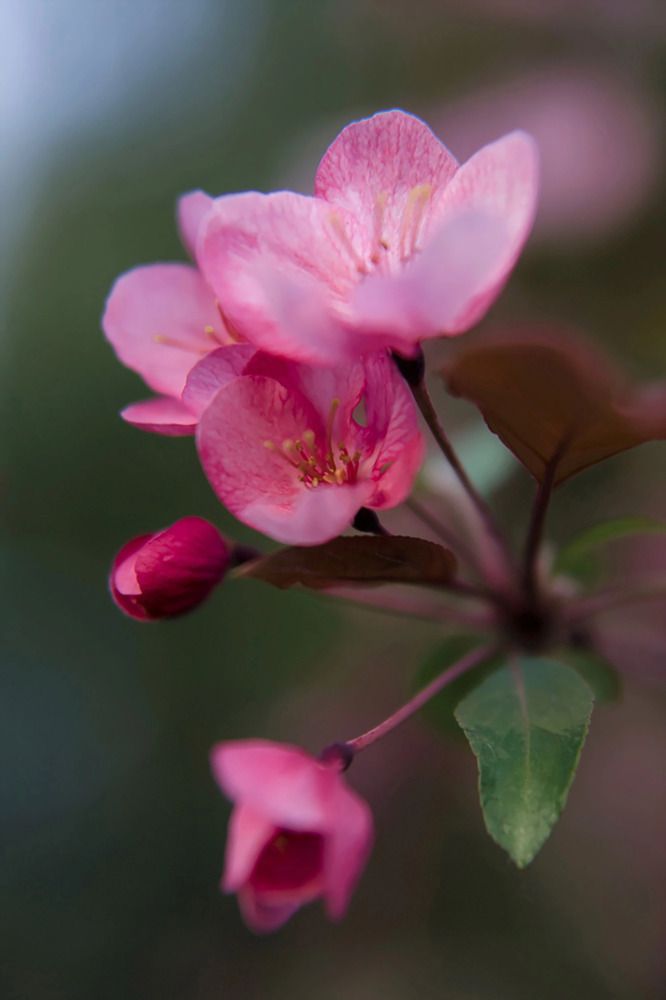 Photograph by Полина Котегова