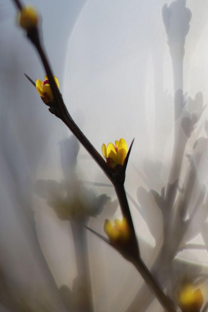 Photograph by Ирина Салминен