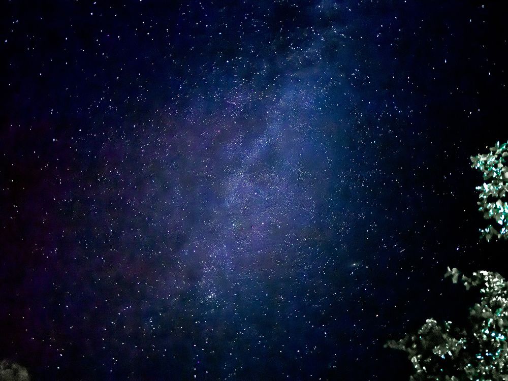 Photograph by Ольга Филатова