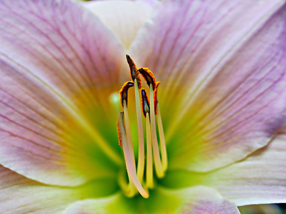 Photograph by Annie Trudel