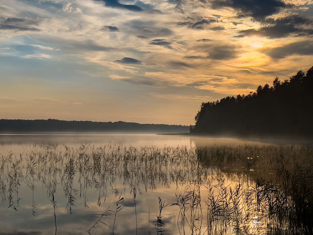 Photograph by Гордий Михаил