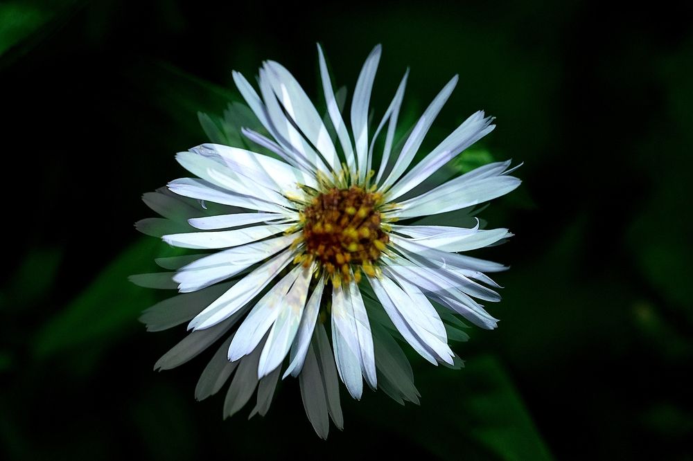 Photograph by Леонид Владимирович