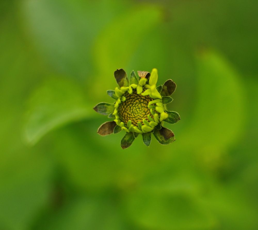 Photograph by Инаида