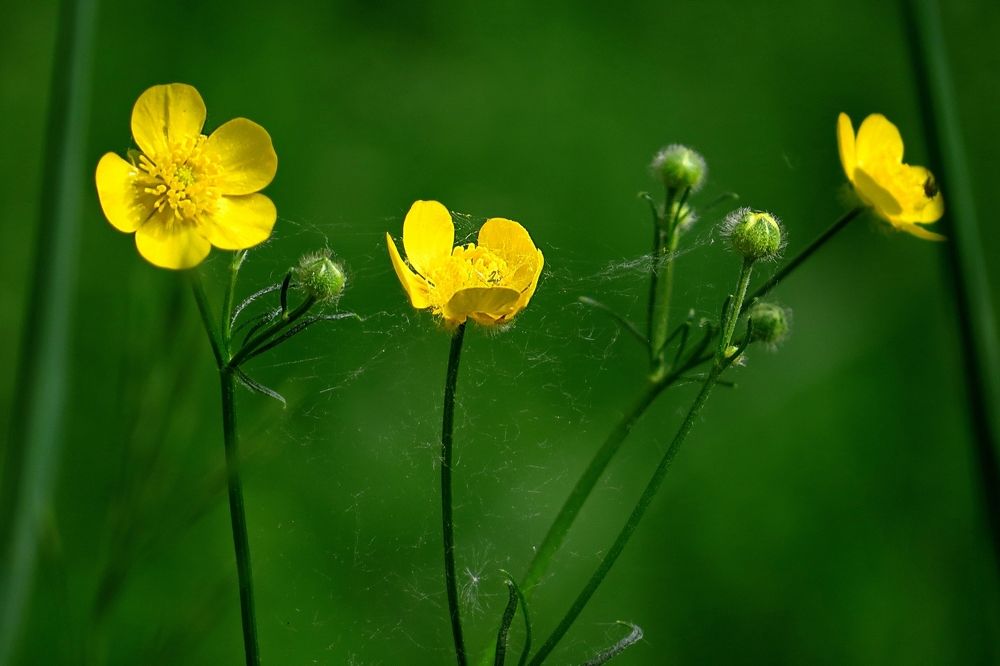 Photograph by Инаида