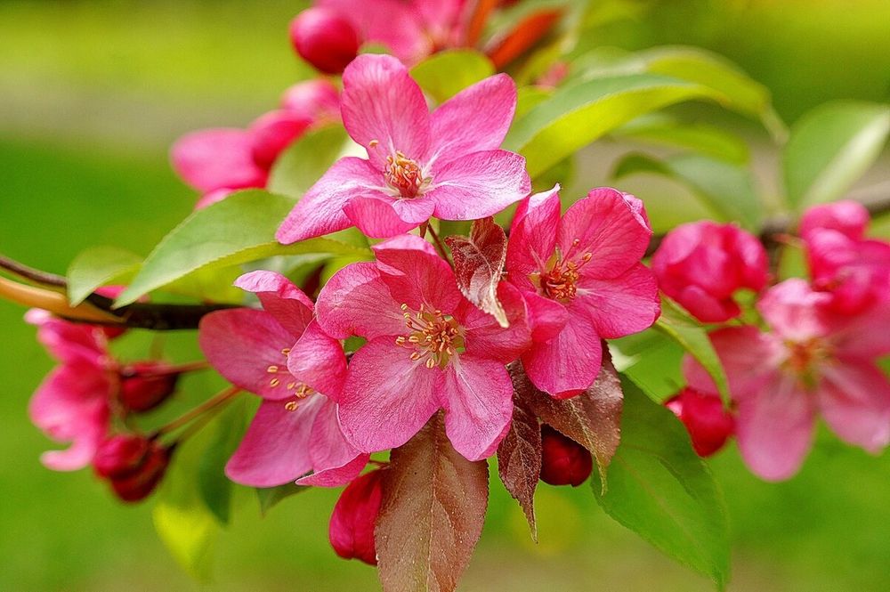 Photograph by Леонид Владимирович
