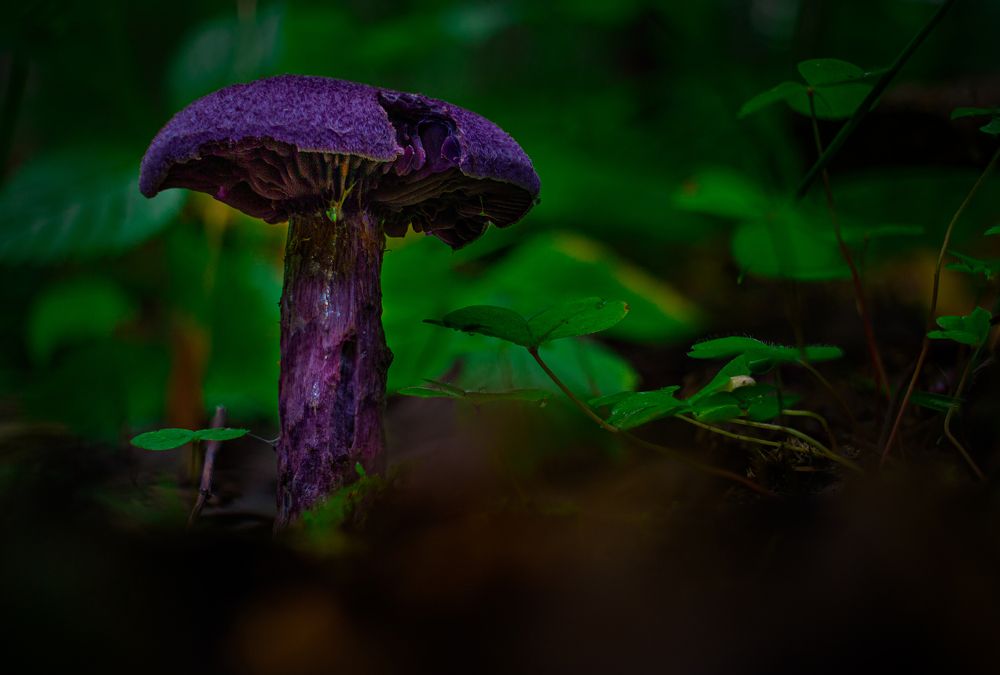 Photograph by Кокорин Алексей