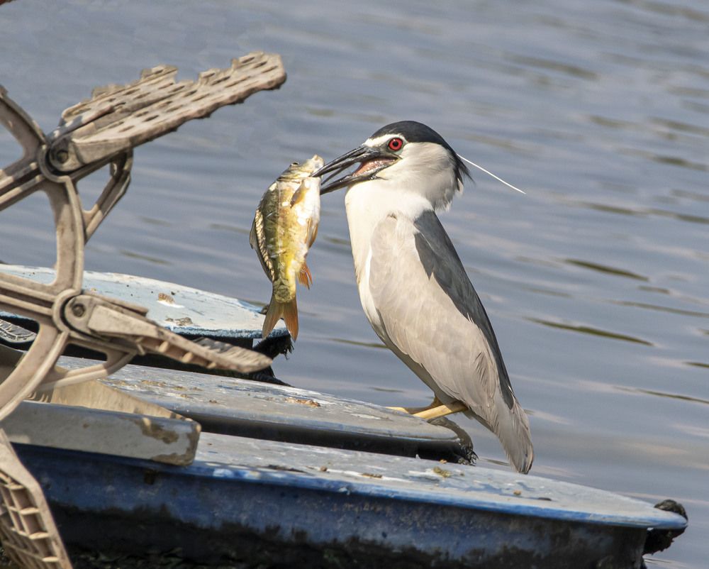 Photograph by Валентина Лопаткина