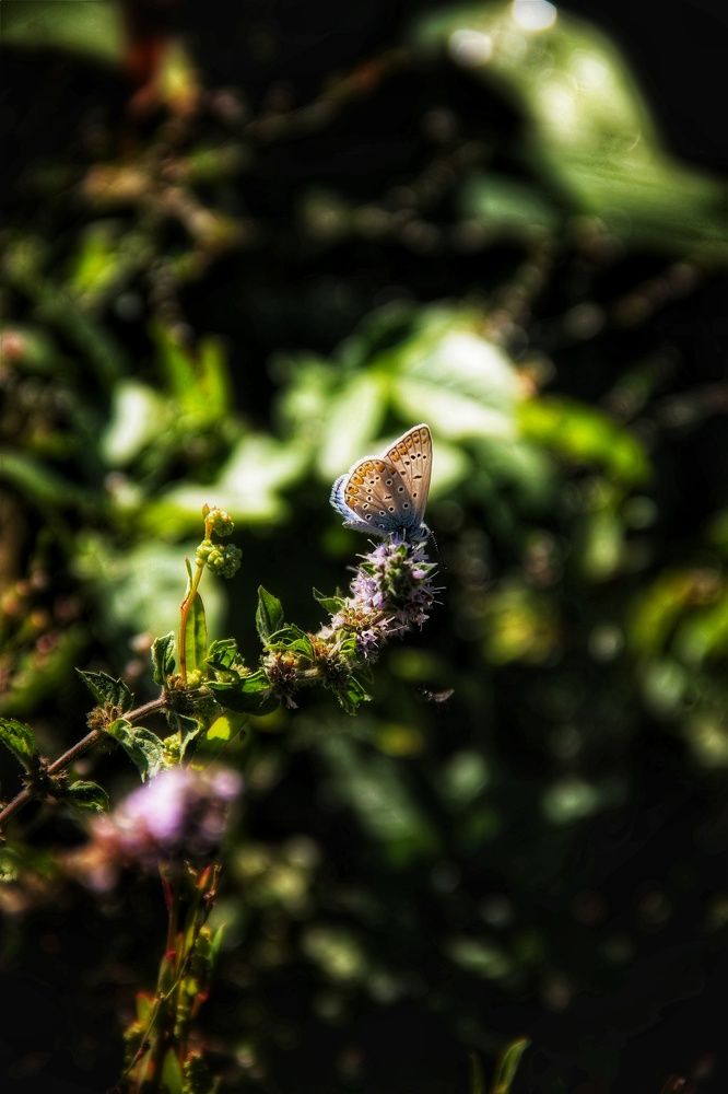 Photograph by Олеся