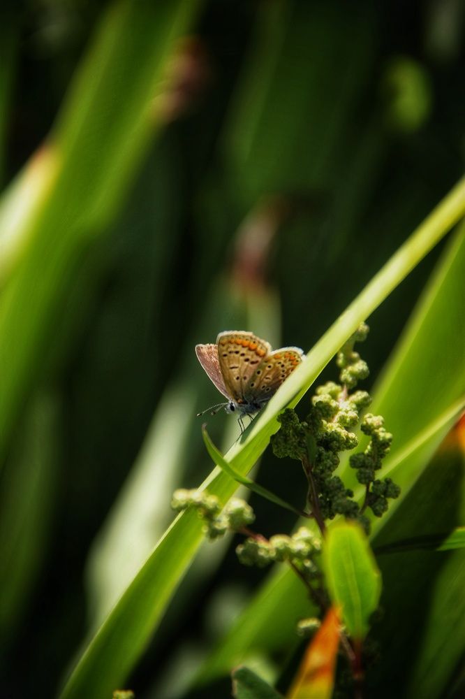 Photograph by Олеся