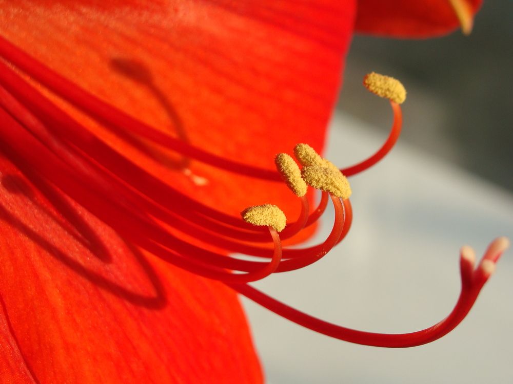 Photograph by Николай Худяков