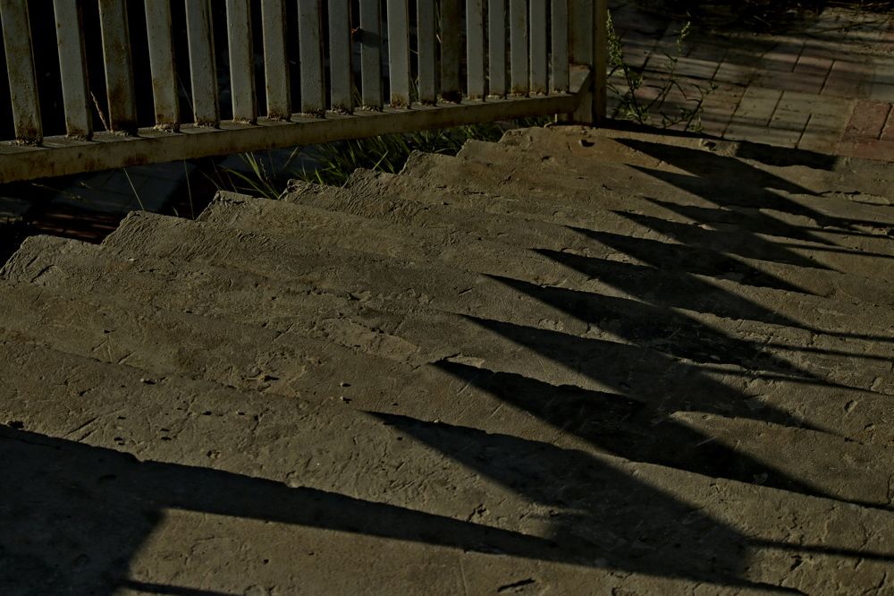 Photograph by Александр Велигура