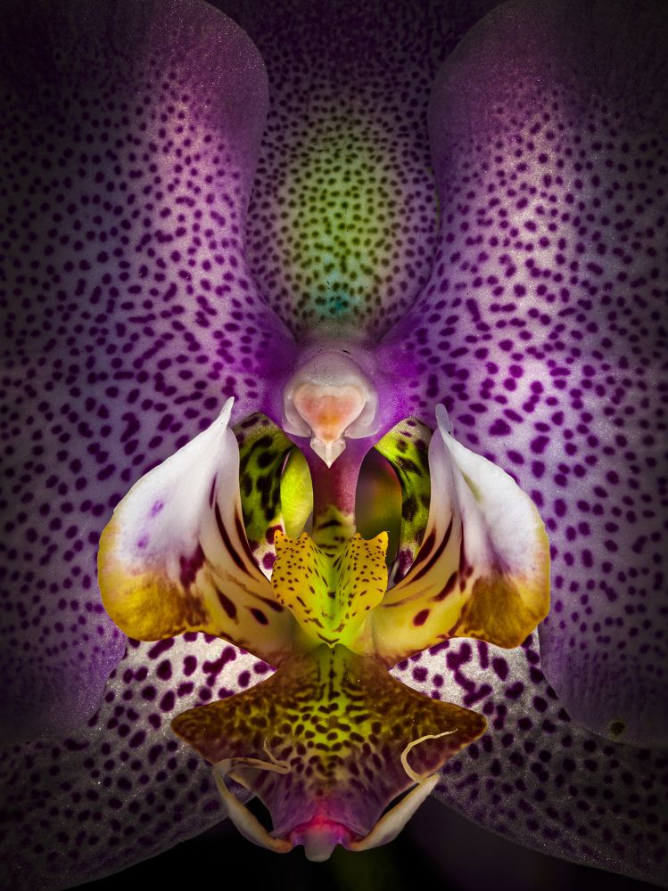 Photograph by Игорь Толкачев