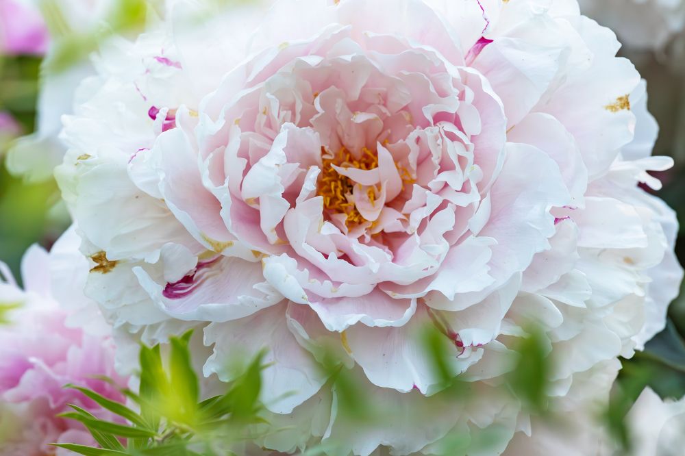 Photograph by Юлия Яковлева