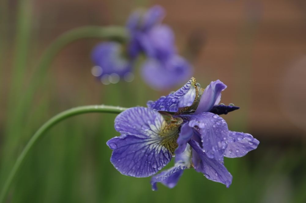 Photograph by Юлия Яковлева