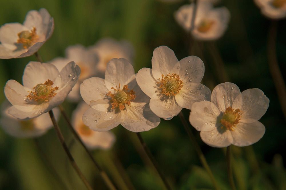 Photograph by Полина Котегова