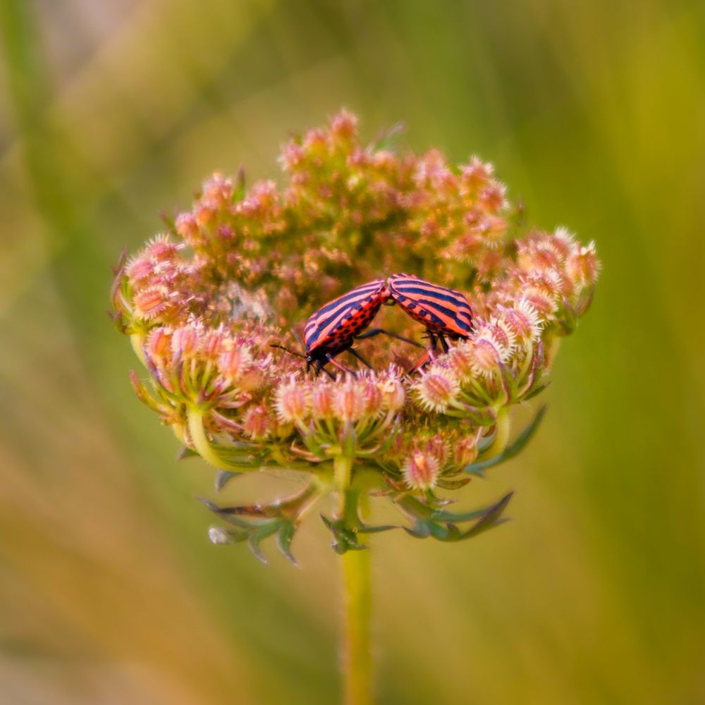 Photograph by Francisco José López Fernández