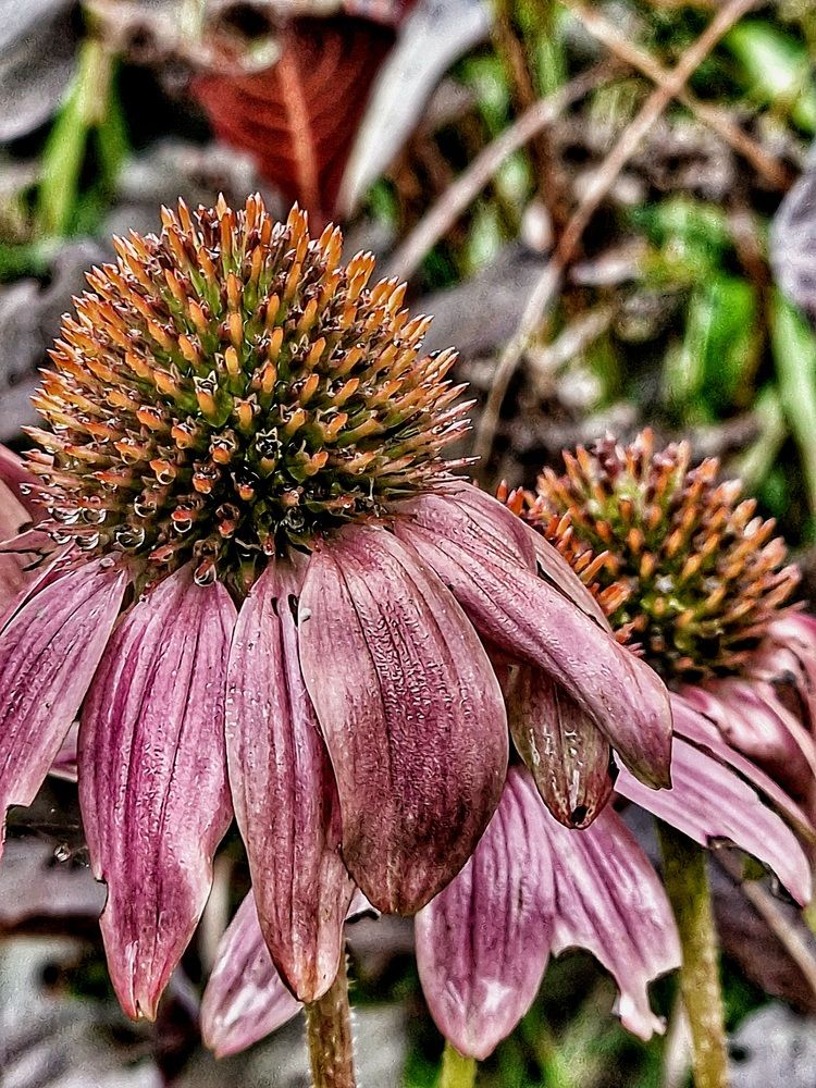 Фотография автора Maryna Pytliak