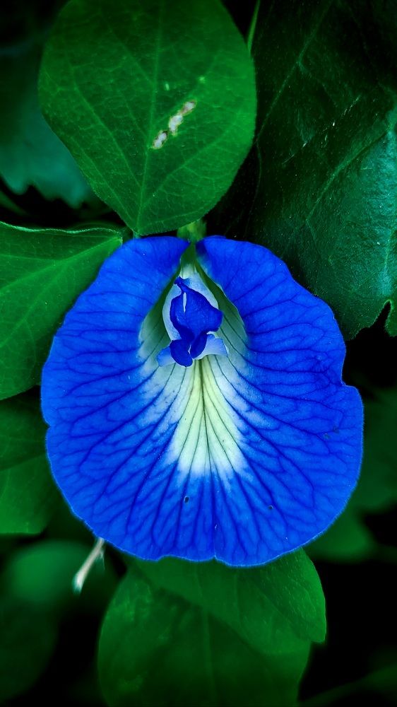 Photograph by Vidhyaba Parmar