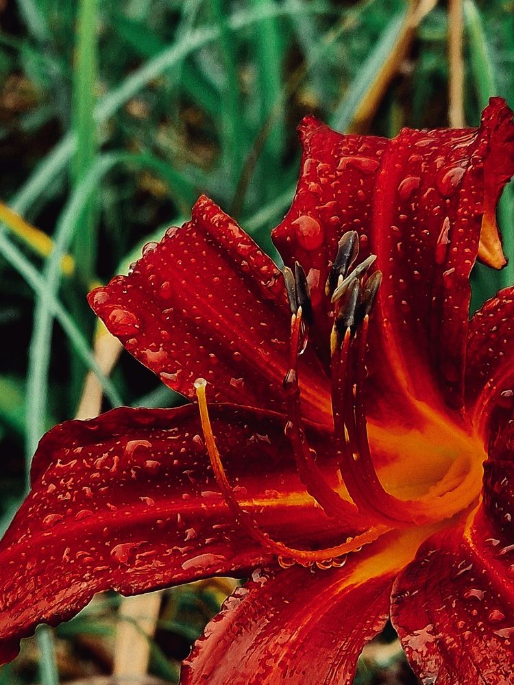 Фотография автора Maryna Pytliak