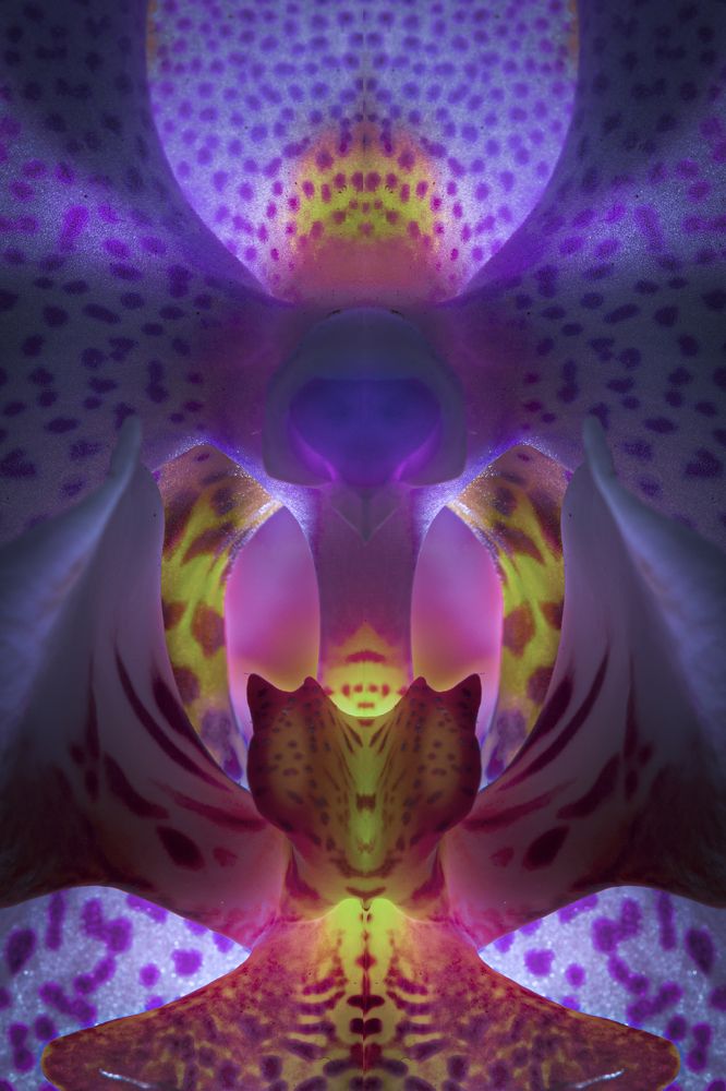 Photograph by Игорь Толкачев