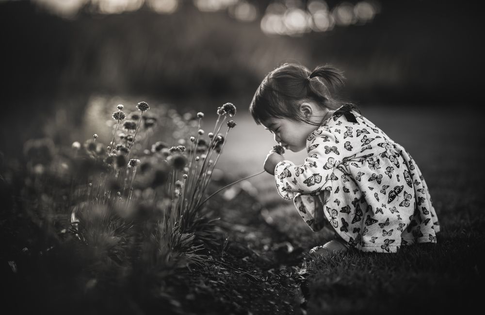 Photograph by Derek Zhang