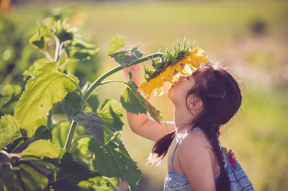 Photograph by Derek Zhang