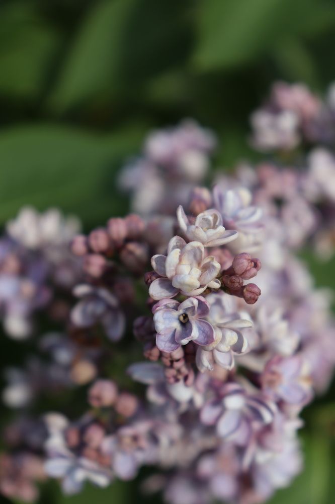 Photograph by Мария Юруть