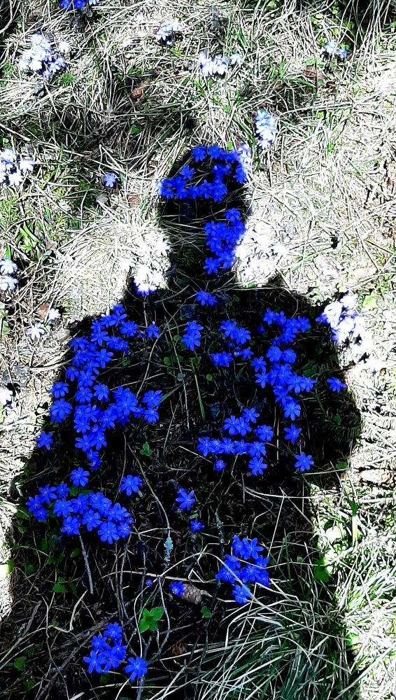 Photograph by Галина Перепечаева