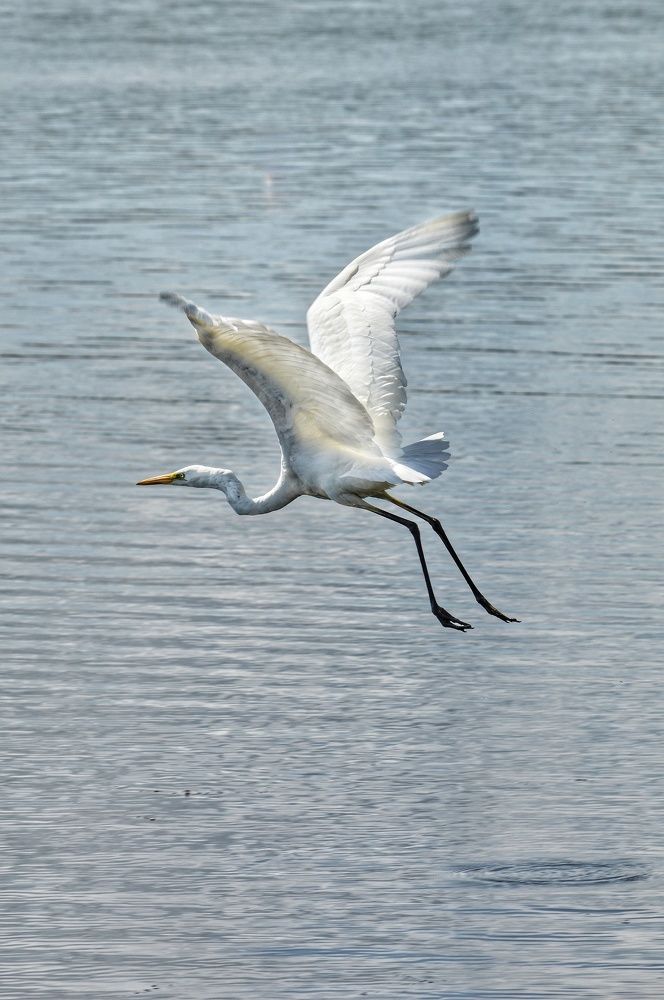 Photograph by Анна Зорька