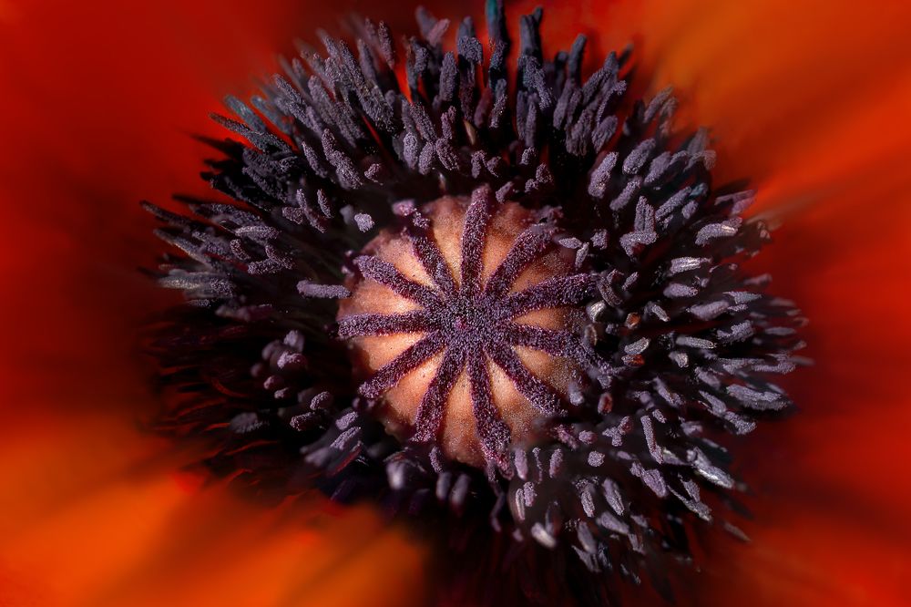 Photograph by Анна Татаренко