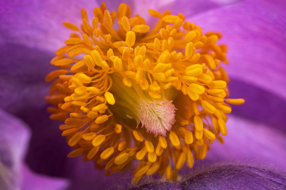 Photograph by Анна Татаренко