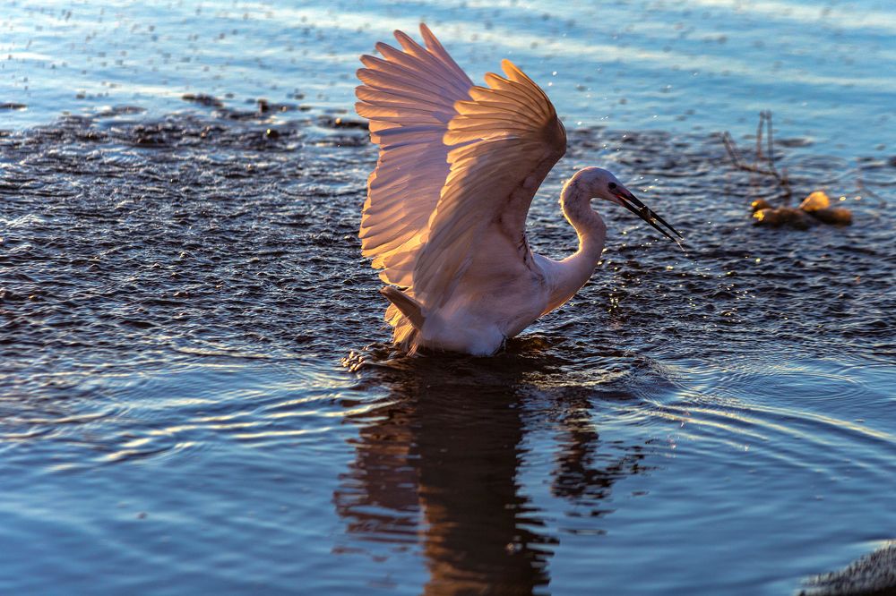 Photograph by Гайдабуров Сергей