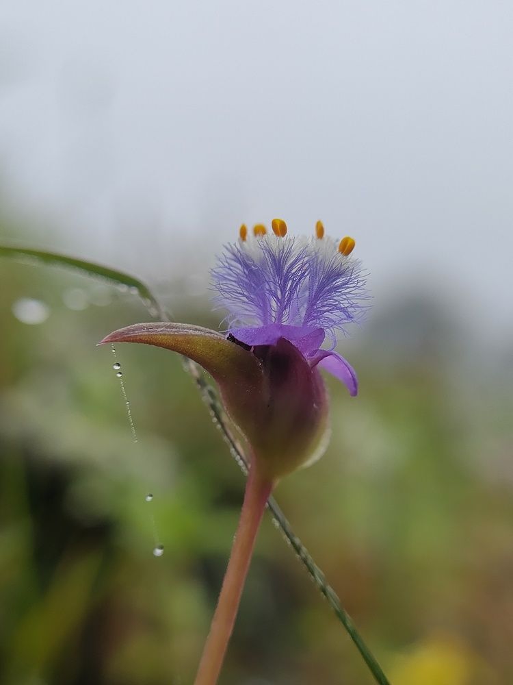 Photograph by Rohit Tonapi