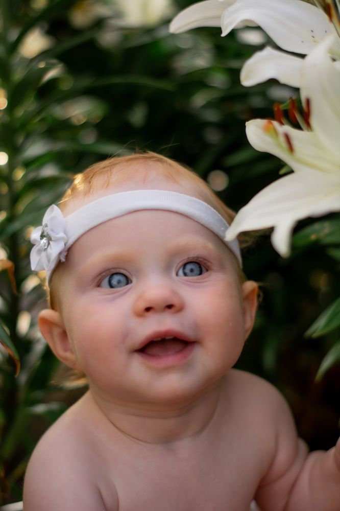 Photograph by Вадим Баталов