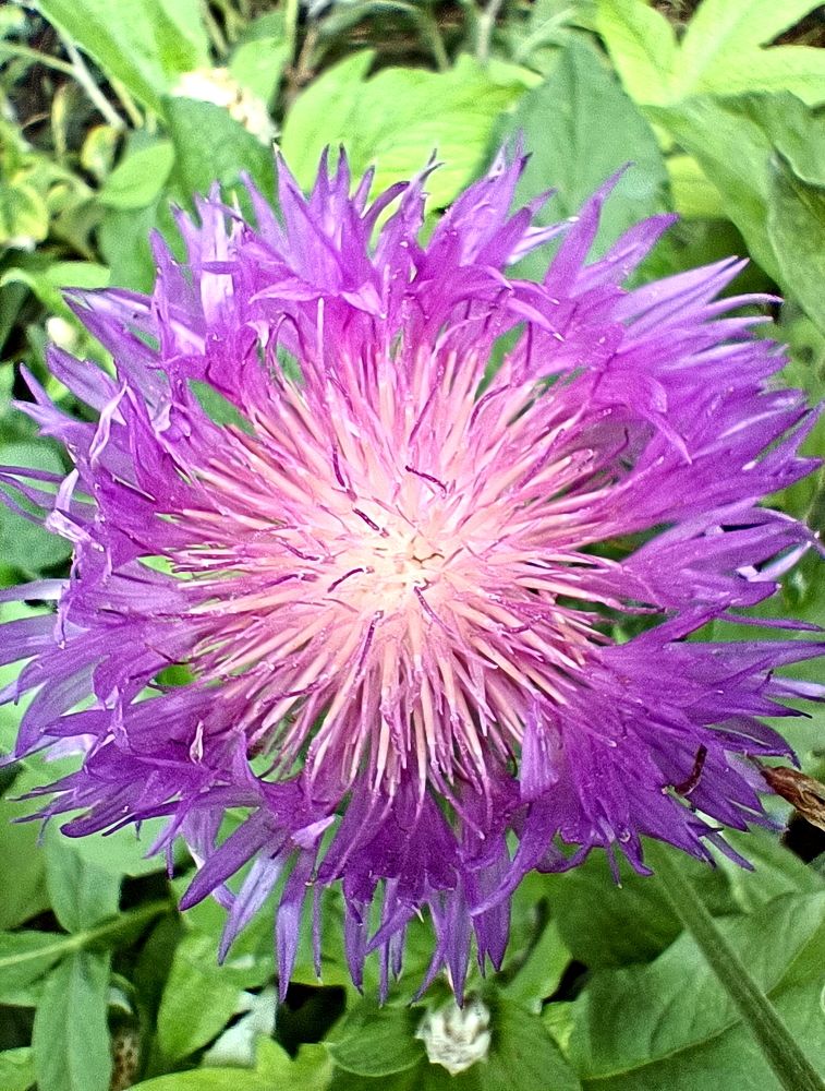 Photograph by Юрий Варюхин