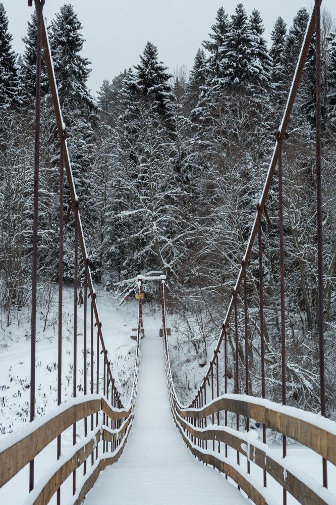 Photograph by Шейко Анна