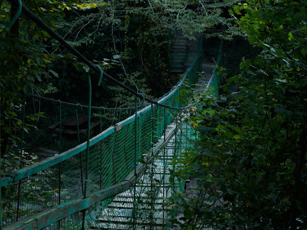 Photograph by Шейко Анна