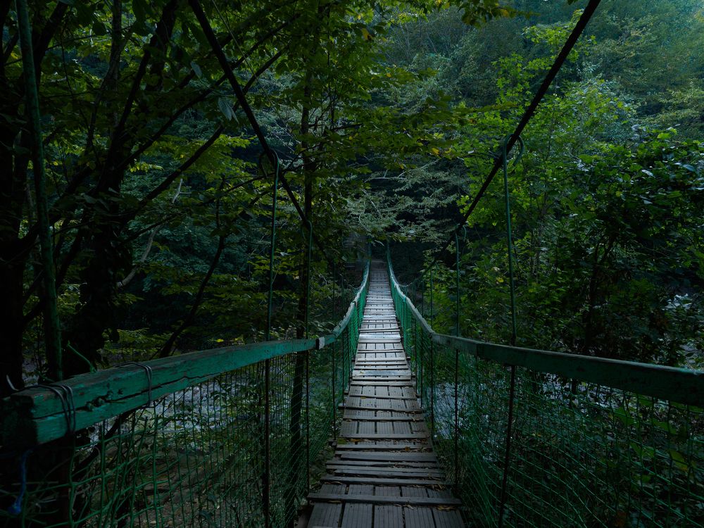 Photograph by Шейко Анна